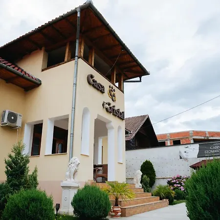 Pensiunea Casa Cristal-3