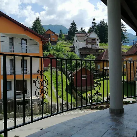 Pensiunea Timiș-2