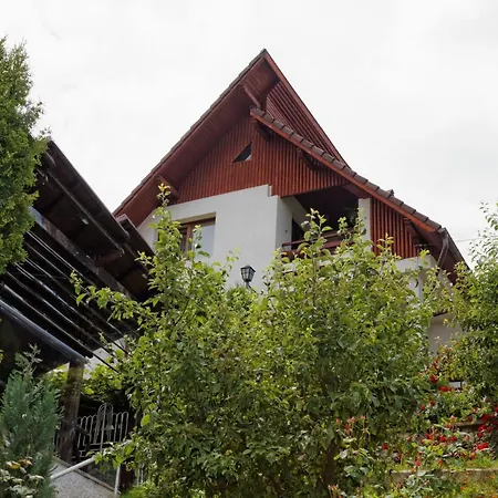 Pension Stejeris-2