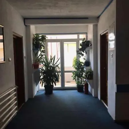 Pensiunea Ursulet-2