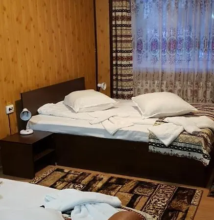 Vila Muntii Bucegi-3