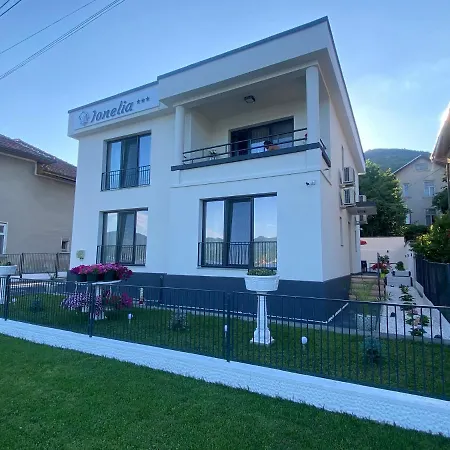 Pensiunea Ionelia-3