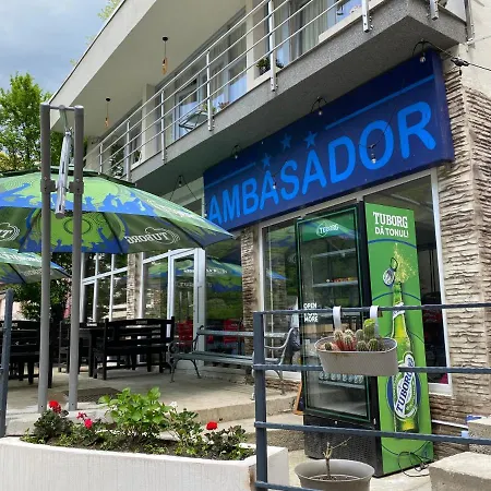 Pensiunea Ambasador-2