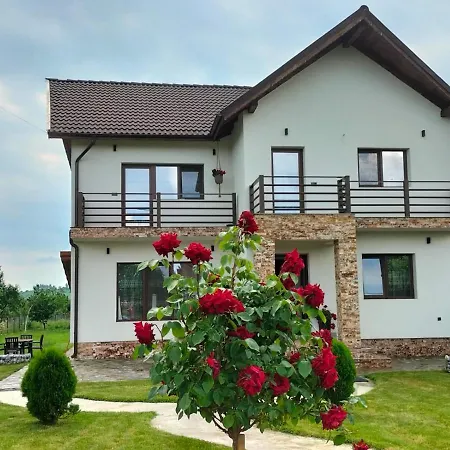 Pensiunea Casa Nușa-2
