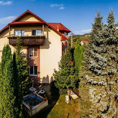 Pensiunea Bucovina-3