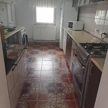 Casa Nicoleta-3