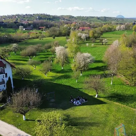 Pensiunea din Livada-2