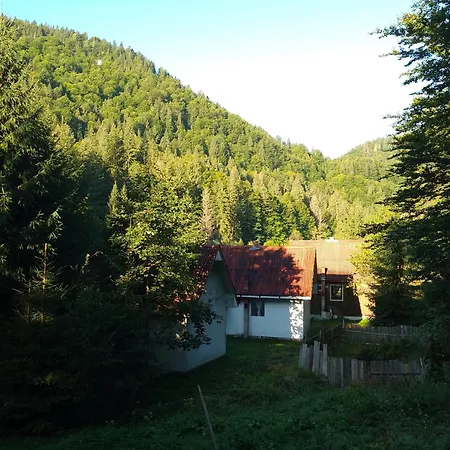 Cabana Valea Stanciului-2