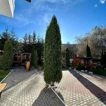 Pensiunea Scarisoara-2