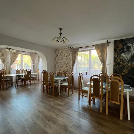 Vila Codreanu-3