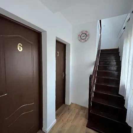 Vila Codreanu-2