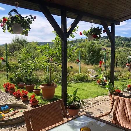 Pensiunea Casa cu Flori-3