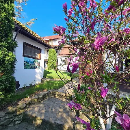 Casa Bonita Saliste-2