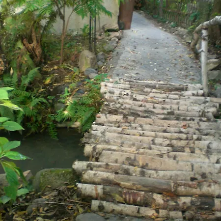 Pensiunea Dragonul-2