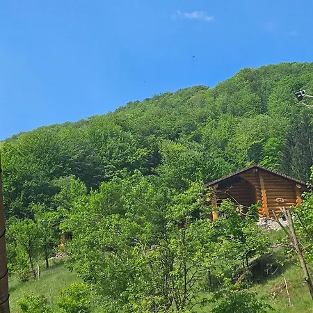 Pensiunea Lupul Dacic-2