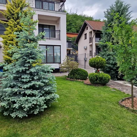 Casa Andrei-3