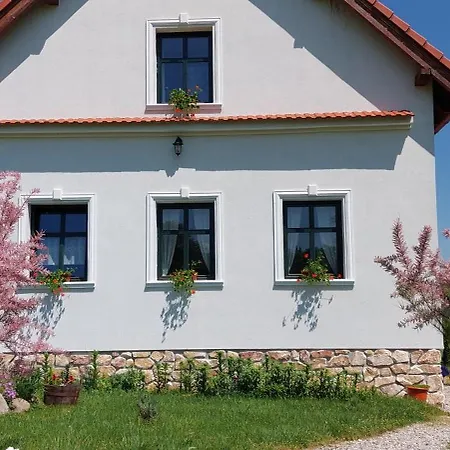 Pensiunea Kiralylany Vendeghaz-3