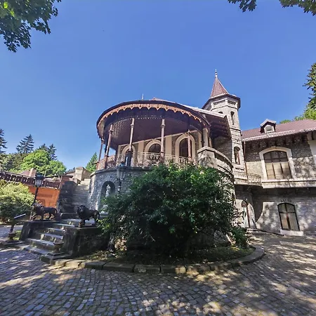Castelul Stirbey-2