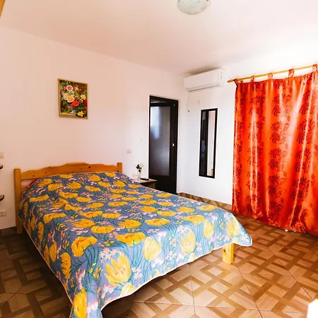 Casa Leahu-2