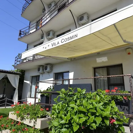 Vila Cosmin-3