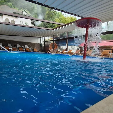 Vila Crinilor-3