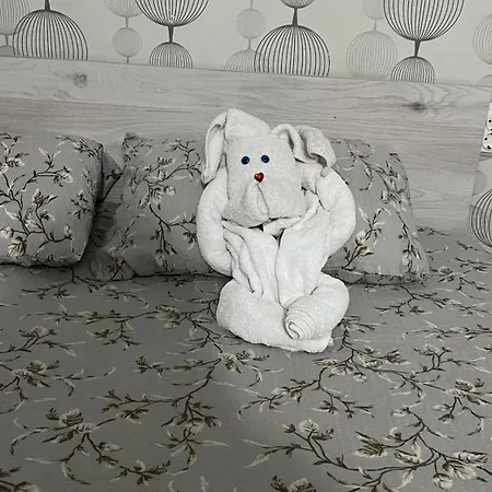 Sofia House-2