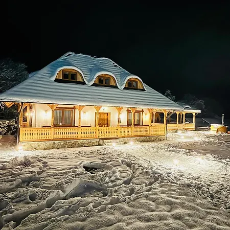 Casa Moroșanului Vișeu de Sus-3