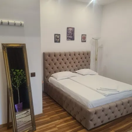 Pensiunea Corina Boutique-2