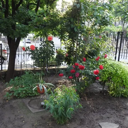 Vila Hera-3