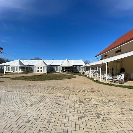 Pensiunea Casa cu Tei-2