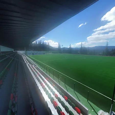 Vila Sport Borsec-3