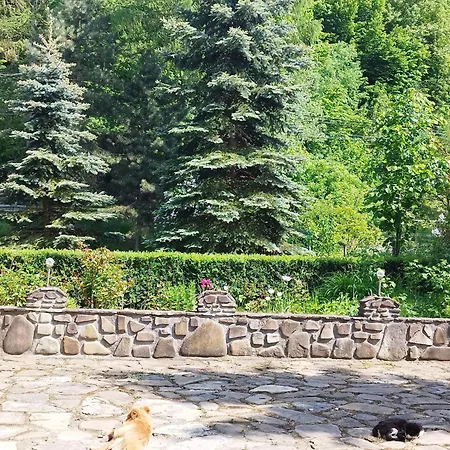 Pensiunea Casa Domniței Sucevița-2