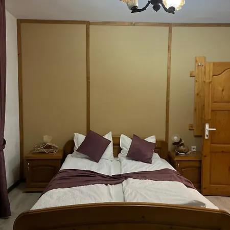 Vila Speranța Arieseni-2