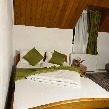 Vila Speranța Arieseni-3