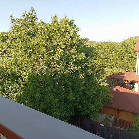 Casa Tudor Turda-3