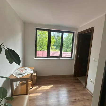 Pensiunea Casa Domniței Sucevița-3