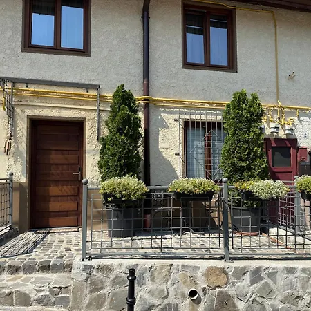 Pensiunea Casa Cranta-2