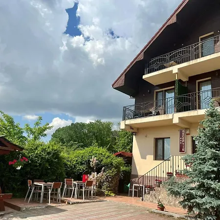 Pensiunea Tudor-2