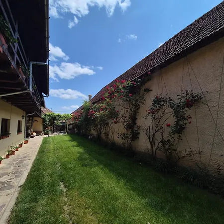 Pensiunea Leia Cârțișoara-3