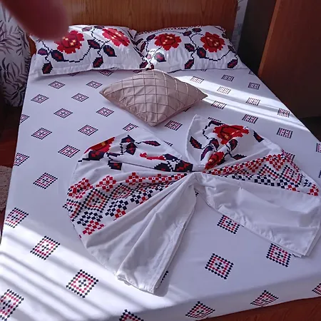 Popas LA OLTEANU-2