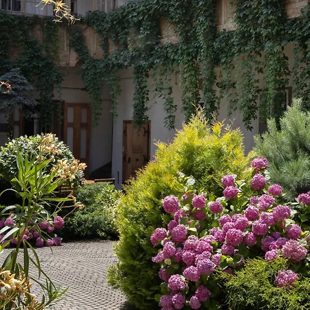 Jules Home-2