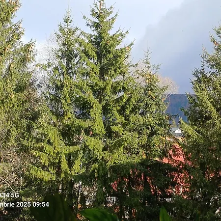 Casa Montana Busteni-3