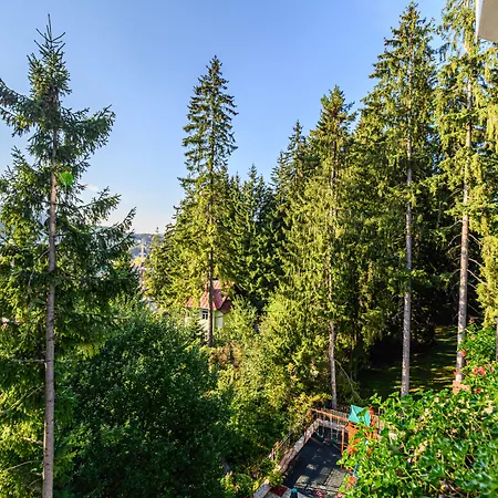 Pensiunea Hilltop-2
