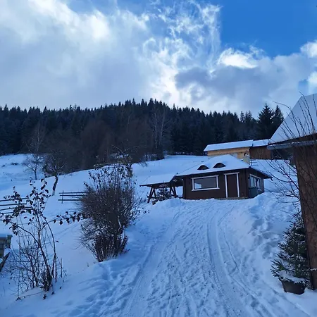 Pensiunea Casa Fierarul din Bucovina-2