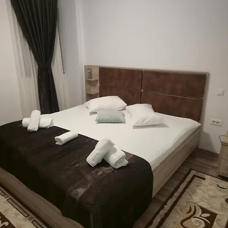 Pensiunea Alex-3