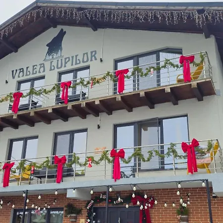 Cabana Valea Lupilor-3