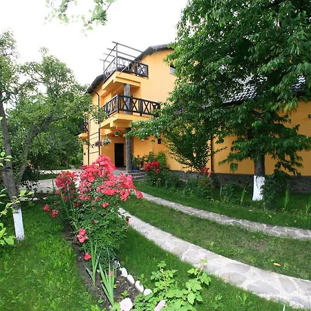 Pensiunea Elena-3