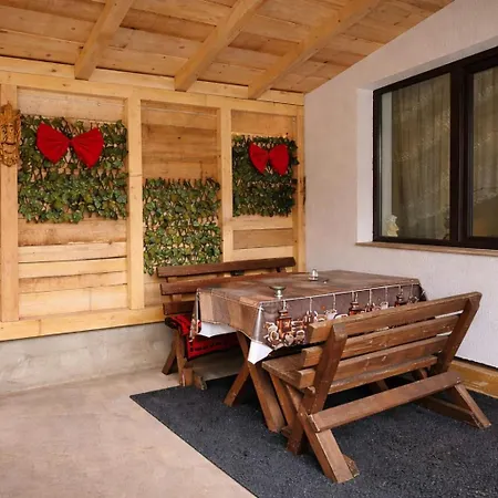 Casa Dana Olteanu-2