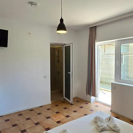 Casa Delfinul Albastru-2
