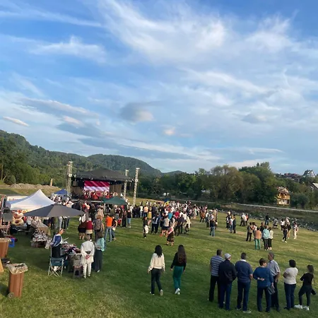 Pensiunea Trei Ponei-3
